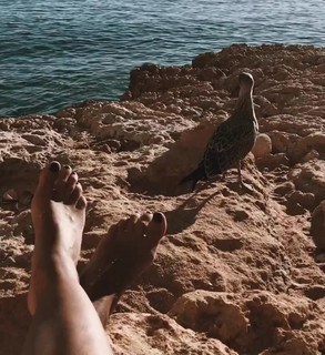 Helena Coelho feet photo 17