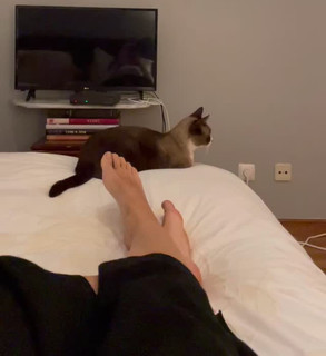 Helena Coelho feet photo 10
