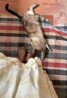 Helena Coelho feet photo 5