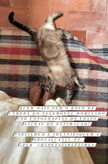 Helena Coelho feet photo 14