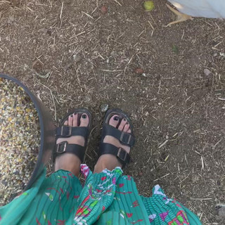 Helena Coelho feet photo 12