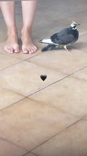 Helena Coelho feet photo 2