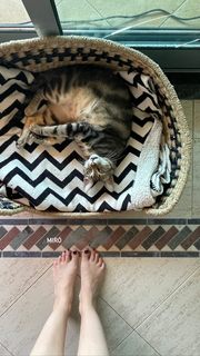 Helena Coelho feet photo 11