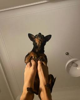 Helena Coelho feet photo 5
