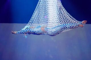 Helene Fischer feet photo thumbnail