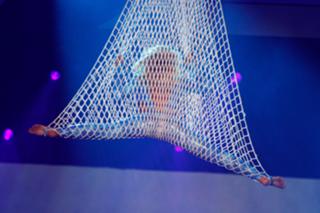 Helene Fischer feet photo thumbnail