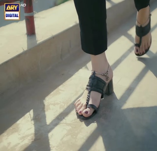 Hiba Bukhari feet photo 20