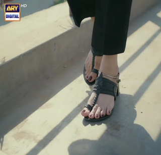 Hiba Bukhari feet photo 19