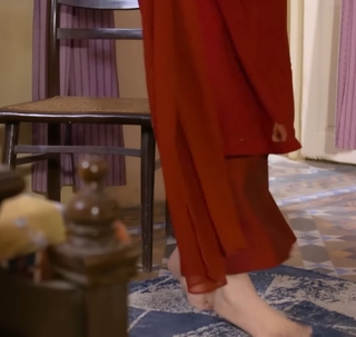 Hiba Bukhari feet photo 18