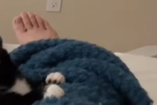 Hikaru Shida feet photo 7
