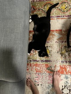 Hikaru Shida feet photo 7