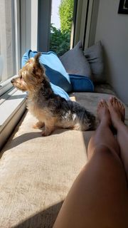 Hila Klein feet photo thumbnail