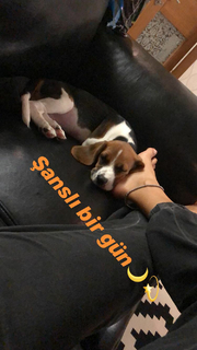 Hilal Altinbilek feet photo thumbnail