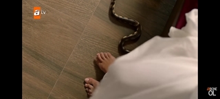 Hilal Altinbilek feet photo thumbnail