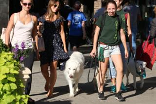 Hilaria Baldwin feet photo thumbnail