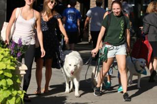 Hilaria Baldwin feet photo thumbnail
