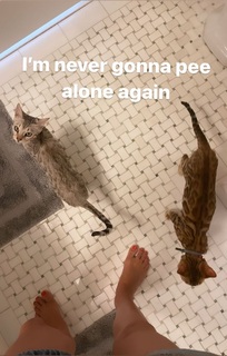 Hilaria Baldwin feet photo thumbnail