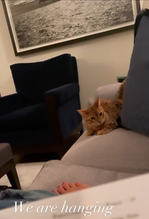 Hilaria Baldwin feet photo thumbnail