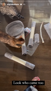 Hilaria Baldwin feet photo thumbnail