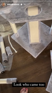 Hilaria Baldwin feet photo thumbnail