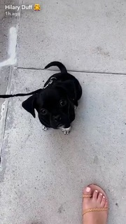 Hilary Duff feet photo thumbnail