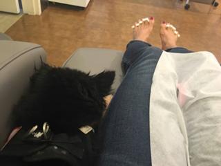 Hilary Farr feet photo 16