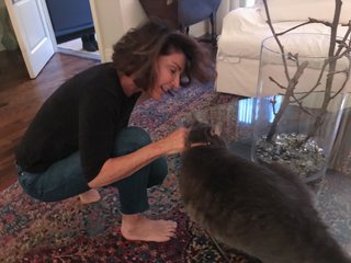 Hilary Farr feet photo 4