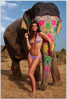 Hilary Rhoda feet photo thumbnail