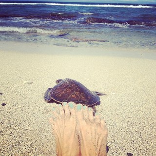 Hilary Shepard feet photo 14