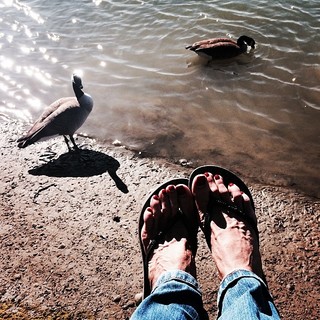 Hilary Shepard feet photo 13