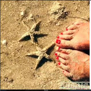 Hilary Shepard feet photo 11