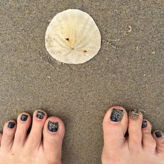 Hilary Shepard feet photo 8