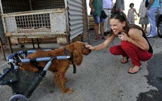 Hilary Swank feet photo thumbnail