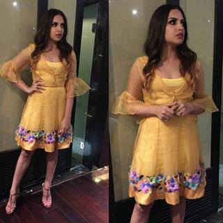 Himanshi Khurana feet photo thumbnail