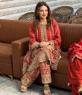 Himanshi Khurana feet photo thumbnail