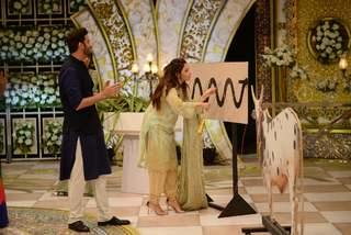 Hina Altaf feet photo 11