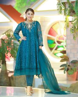 Hina Altaf feet photo 16
