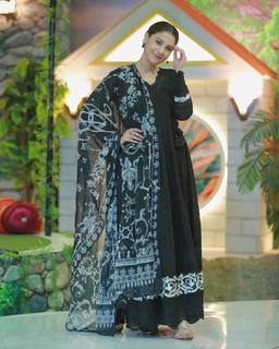 Hina Altaf feet photo 2