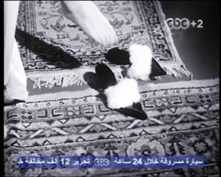 Hind Rostom feet photo 16