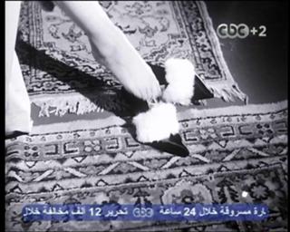 Hind Rostom feet photo 14