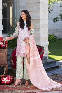 Hira Salman feet photo 6