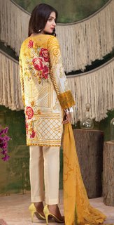 Hira Salman feet photo 3
