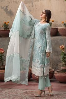 Hira Salman feet photo 15