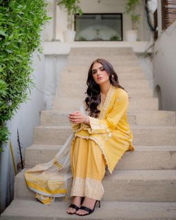 Hira Salman feet photo 11