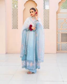 Hira Salman feet photo 18