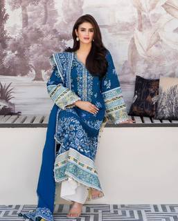 Hira Salman feet photo 15