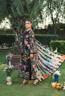 Hira Salman feet photo 4