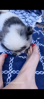 Hofit Golan feet photo 18