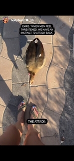 Holly Burt feet photo thumbnail