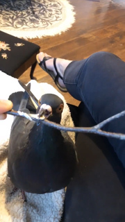 Holly Conrad feet photo 7